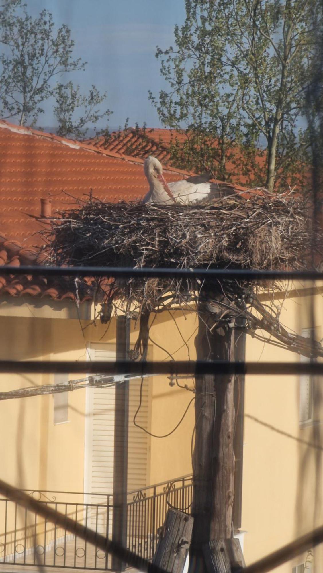 Appartement Kofinaki 1 Tycherón