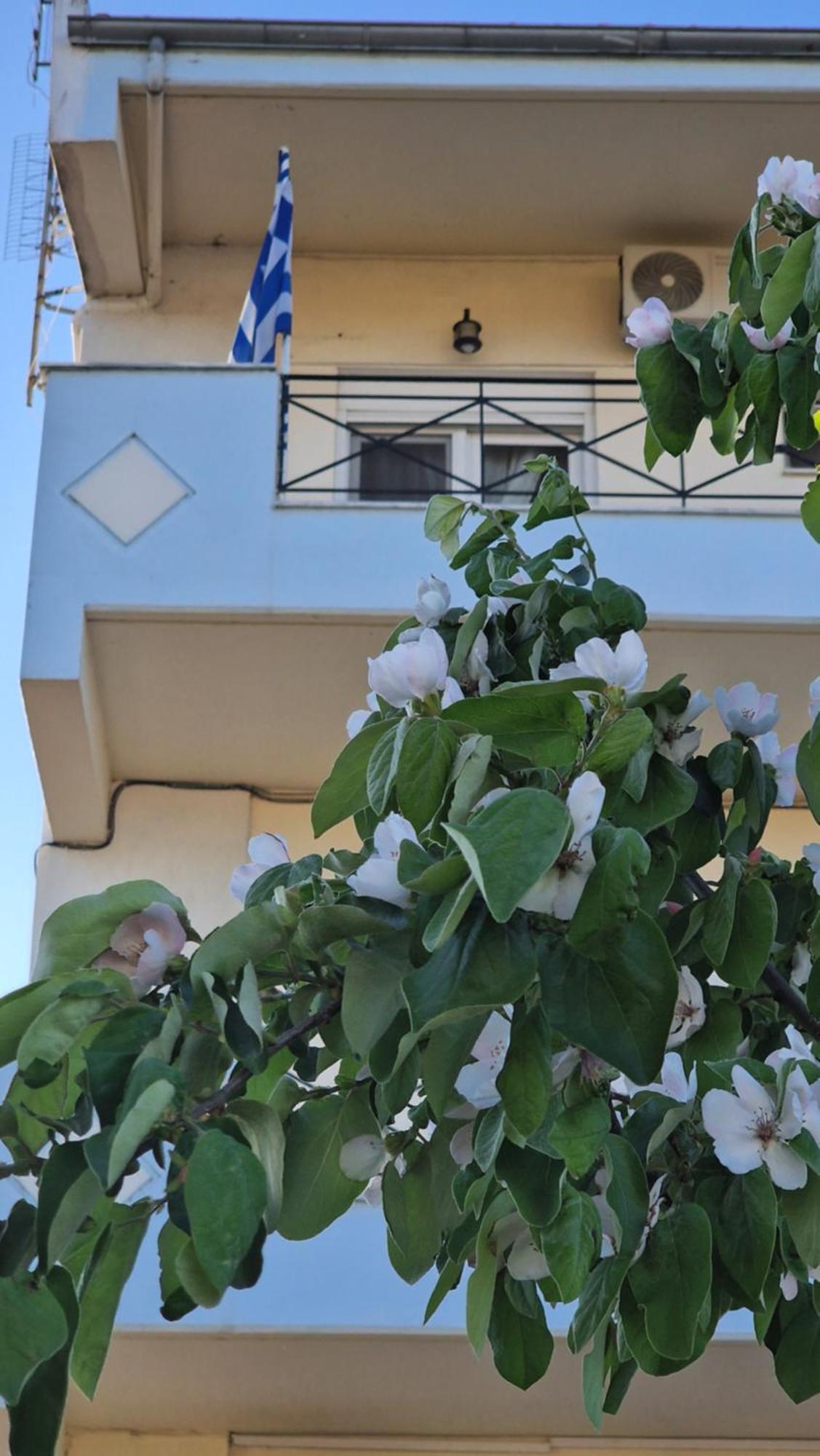 Appartement Kofinaki 1 *